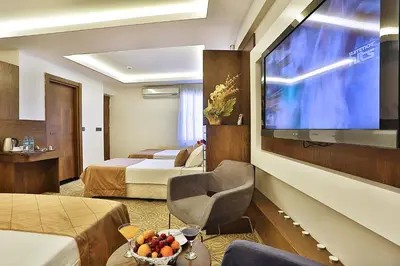 a hotel room with a television and a room with two beds at Grand Sagcanlar Hotel in Istanbul