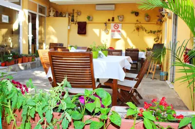 a restaurant with a table and chairs and plants at Divas Hotel in Istanbul