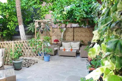 a patio with couches and plants in a garden at Divas Hotel in Istanbul