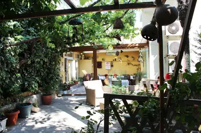 a patio with potted plants and a person sitting at Divas Hotel in Istanbul