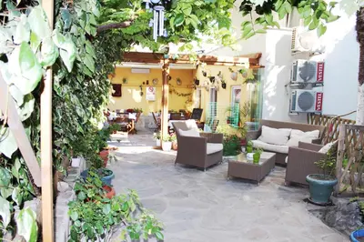an outdoor patio with furniture and plants at Divas Hotel in Istanbul