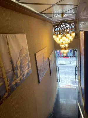 a hallway with paintings on the wall and a chandelier at Polanin Hotel in Istanbul