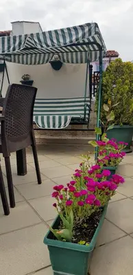 a planter with flowers and a chair on a patio at Blue Mosque Suites-Old City Sultanahmet in Istanbul