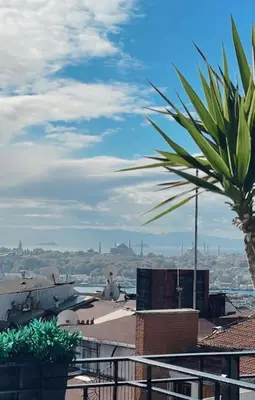 a helicopter on top of a building with a palm tree at Misafir Suites 8 Istanbul in Istanbul