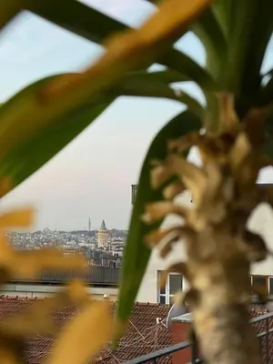 a view of a city from a plant at Misafir Suites 8 Istanbul in Istanbul