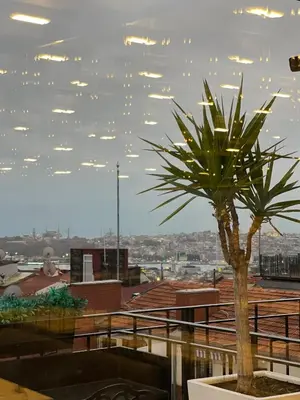 a palm tree sitting on top of a building at Misafir Suites 8 Istanbul in Istanbul