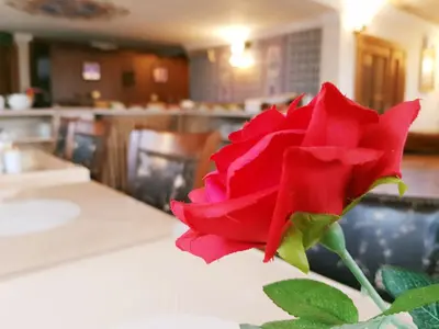 a red rose sitting on top of a table at Aldem Hotel in Istanbul