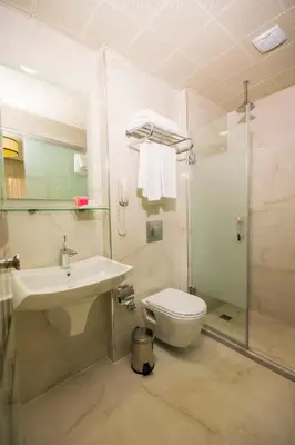 a bathroom with a toilet and a sink and a shower at Antis Hotel-Special Category in Istanbul