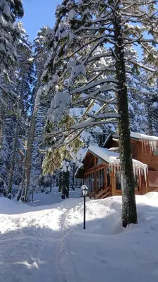 a cabin in the snow with snow covered trees at Karinna Orman Evleri in Uludag