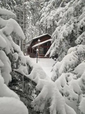 a building covered in snow next to some trees at Karinna Orman Evleri in Uludag