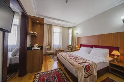 a hotel room with a large bed and a television at Apart Hotel Hippodrome in Istanbul