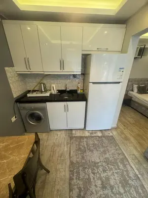 Gallery image of Arat Apartments in Istanbul