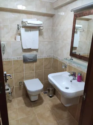 a bathroom with a sink and a toilet and a mirror at Yuksel Hotel in Istanbul