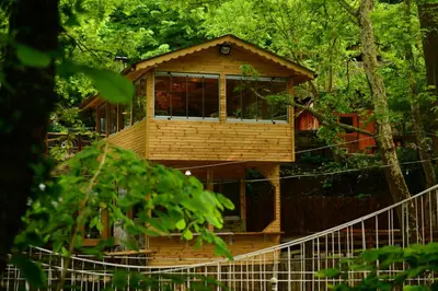 a tree house in the middle of a forest at Karaaslan Kamping Tesisleri in Kazandere