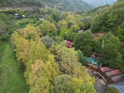 an aerial view of a train in a forest at Karaaslan Kamping Tesisleri in Kazandere