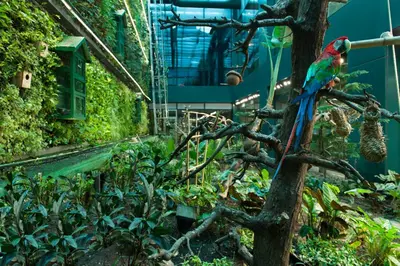 a parrot sitting on a tree in a garden at Elite World Grand Istanbul Basın Ekspres in Istanbul