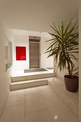 a hallway with stairs and a potted plant at NOA - Sungu 1 in Istanbul
