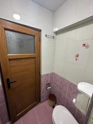 a bathroom with a toilet and a wooden door at Hotel Semih in Istanbul