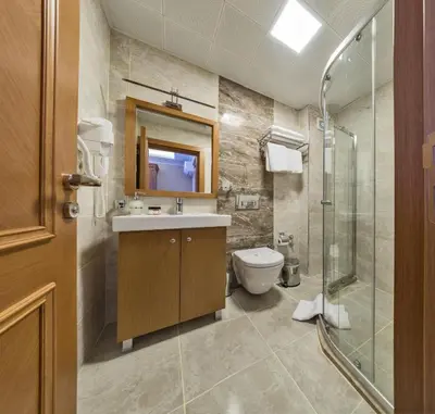 a bathroom with a toilet and a sink and a shower at Magnaura House Hotel in Istanbul