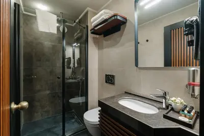 a bathroom with a shower and a sink and a toilet at Tria Elegance Istanbul in Istanbul