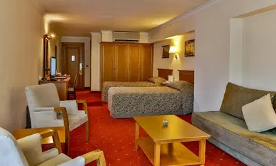 Gallery image of Central Hotel in Bursa