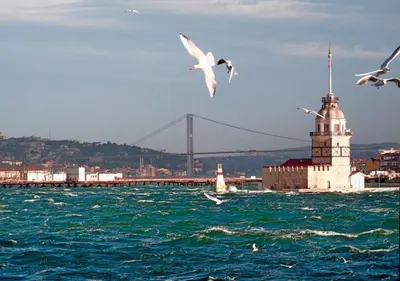 a flock of birds flying over the water with a lighthouse at Cumbali Luxury Boutique Hotel in Istanbul