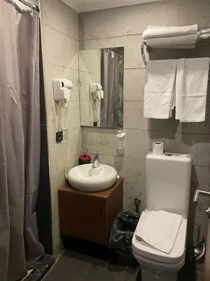 a bathroom with a white toilet and a sink at Elibol Hotel Old City in Istanbul
