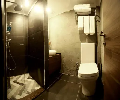 a bathroom with a toilet and a sink and a shower at Elibol Hotel Old City in Istanbul