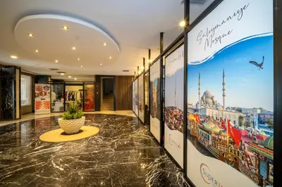 a lobby with posters and a potted plant on the floor at Grand S Hotel in Istanbul