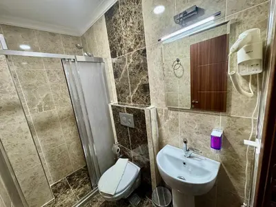 a bathroom with a toilet and a sink and a shower at Rosalie Palace Hotel in Istanbul
