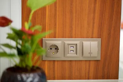 a light switch on a wooden wall with a plant at Hotel Eyfel in Istanbul