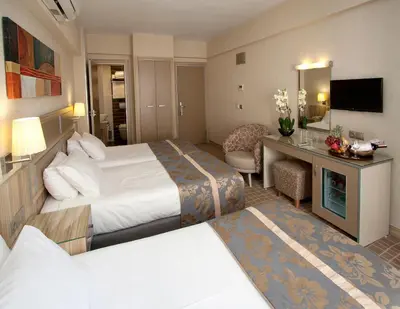 a hotel room with a bed and a desk at Nanda Hotel in Istanbul