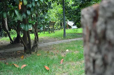 a park with two chairs and a bench in the grass at Butik Hotel Maşukiye in Masukiye