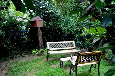 two benches and a bird house in a park at Butik Hotel Maşukiye in Masukiye