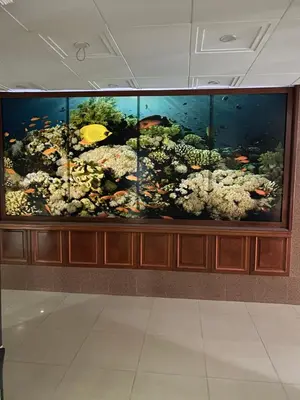 a large aquarium in a room with fishes and coral at Odrys Beach Hotel & Resort in Tekirdag