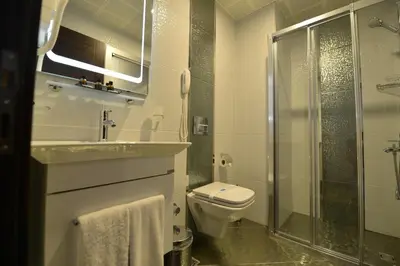 a bathroom with a toilet and a sink and a shower at Golden Siyav Hotel in Istanbul
