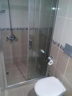 a bathroom with a shower with a toilet and a sink at Hotel Red Rose in Istanbul