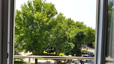 a view of a tree from a window at Hotel Yesilpark in Istanbul