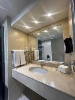 a bathroom with a sink and a large mirror at EmexOtel Kocaeli in Kocaeli