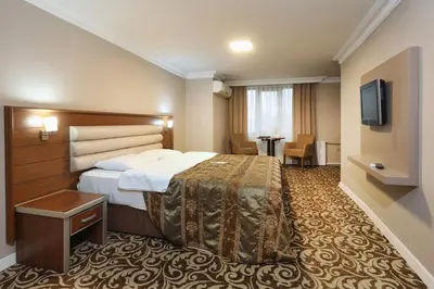 a hotel room with a bed and a television at Balturk Hotel Sakarya in Sakarya