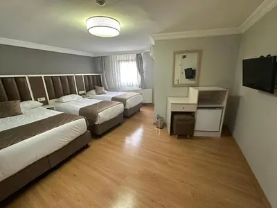 a hotel room with two beds and a television at Hotel Süreyya in Istanbul