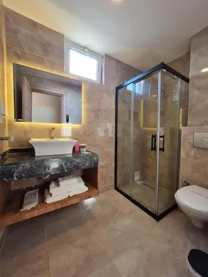 a bathroom with a sink and a shower at Air Boss Istanbul Airport and Fair Hotel in Istanbul