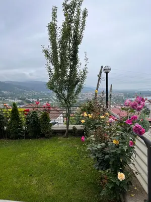 a garden of flowers on a fence with a view at Sawsana Villalari in Sapanca