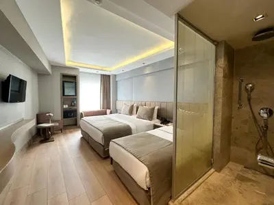 a hotel room with two beds and a shower at AHC Grand Bazaar Hotel in Istanbul