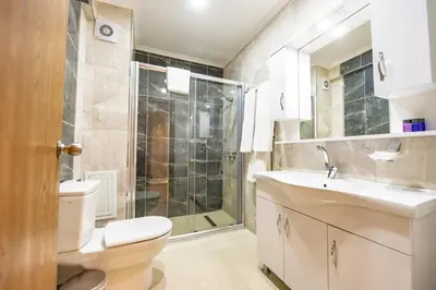 a bathroom with a toilet and a shower and a sink at Entes Apart in Istanbul