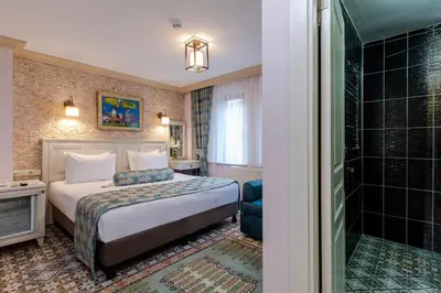 a hotel room with a bed and a shower at Agora Guesthouse in Istanbul