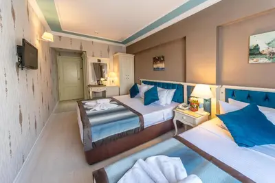 a hotel room with two beds and a television at Viva Deluxe Hotel in Istanbul