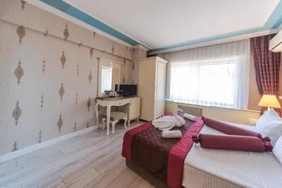 a bedroom with a bed and a desk in it at Viva Deluxe Hotel in Istanbul