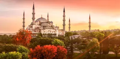 a building with two mosques with trees in front of it at Viva Deluxe Hotel in Istanbul