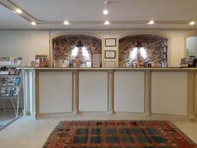 a room with white sliding doors and a rug at Hali Hotel in Istanbul